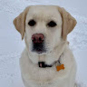 Meet your Posher, Alison